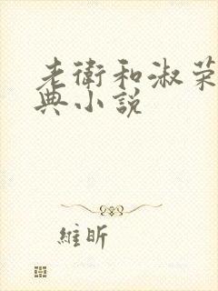 老卫和淑荣的经典小说