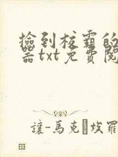 捡到校霸的遥控器txt免费阅读