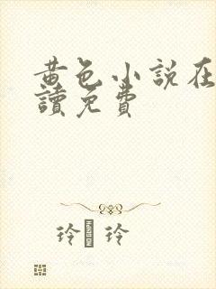 黄色小说在线阅读免费