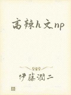 高辣h文np