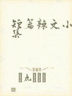 短篇辣文小说合集