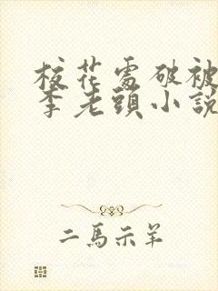 校花处破被灌满李老头小说