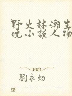 野火林潮生林晚晚小说人物野火