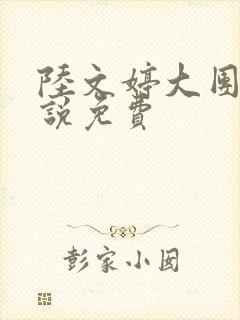 陆文婷大团圆小说免费