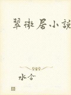 翠微居小说