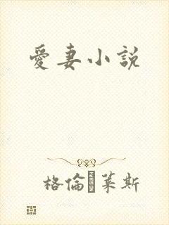 爱妻小说