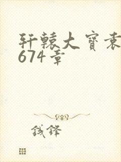 轩辕大宝袁雪妃674章