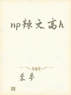 np辣文高h