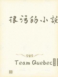 很污的小说