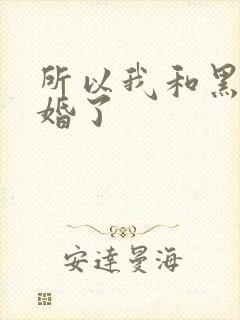 所以我和黑粉结婚了