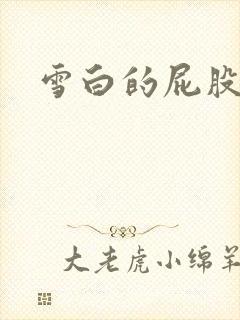 雪白的屁股小说