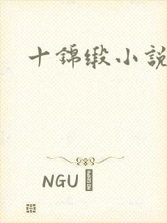 十锦缎小说