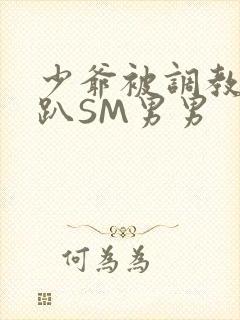 少爷被调教室跪趴SM男男