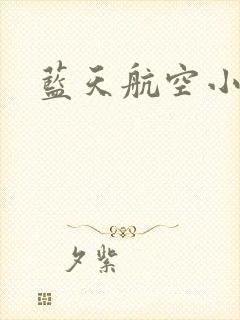 蓝天航空小说
