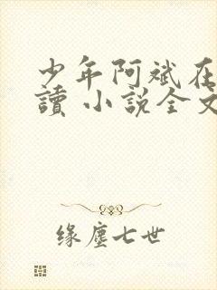少年阿斌在线阅读 小说全文免费