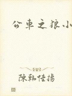 公车之狼小说
