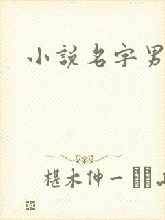 小说名字男生