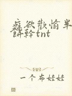 瘾欲欢愉半块小饼干tnt