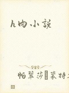 h肉小说
