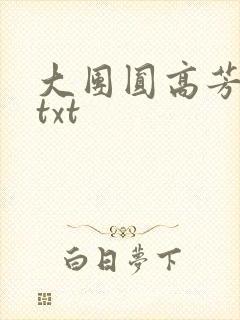 大团圆高芳小说txt