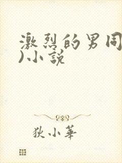 激烈的男同(h)小说