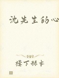 沈先生的心头宝