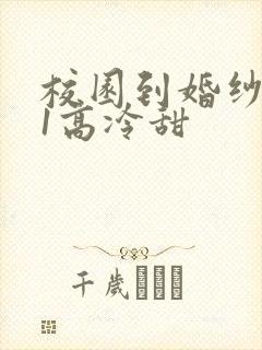 校园到婚纱1V1高冷甜