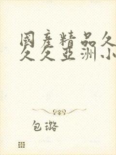 国产精品久久久久久亚洲小说