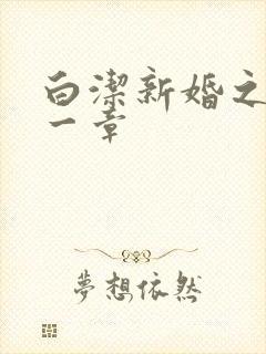 白洁新婚之夜第一章