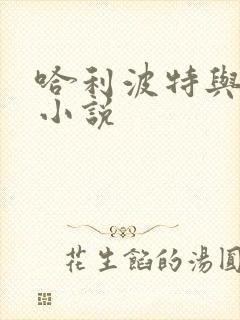 哈利波特与密室小说