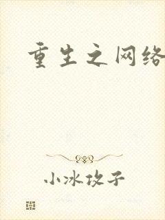 重生之网络大亨