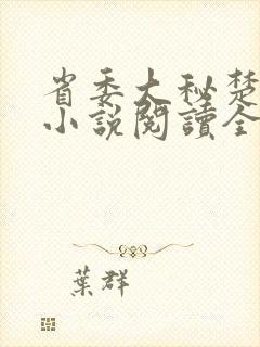 省委大秘楚东恒小说阅读全文