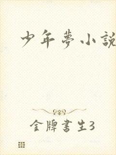 少年梦小说