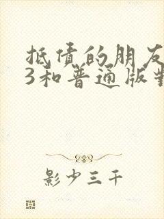 抵债的朋友麦子3和普通版对比