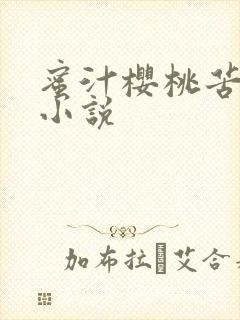 蜜汁樱桃苦咖啡小说