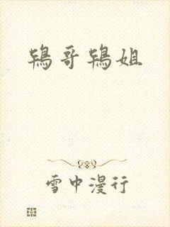 鸨哥鸨姐