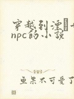 穿越到湮婸世界npc的小说