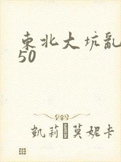 东北大坑乱1—50
