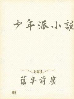 少年派小说
