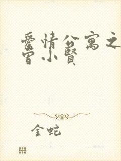 爱情公寓之极品曾小贤