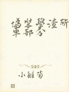 伪装学渣所有开车部分