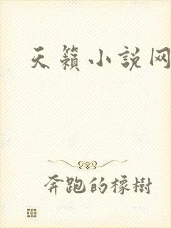 天籁小说网
