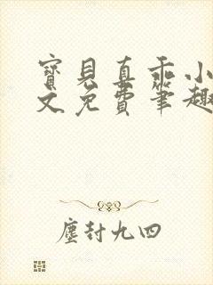 宝贝真乖小说全文免费笔趣阁