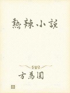 热辣小说