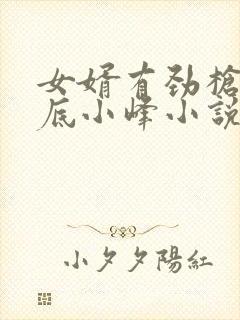 女婿有劲枪枪到底小峰小说