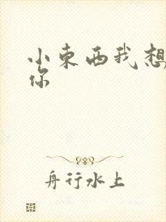 小东西我想弄坏你