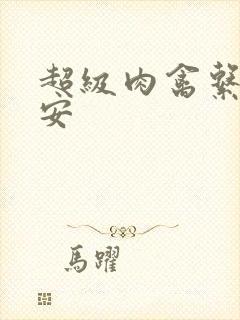 超级肉禽系统保安