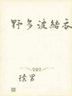 野多波结衣