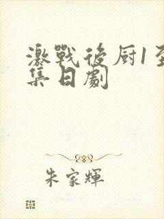 激战后厨1至5集日剧