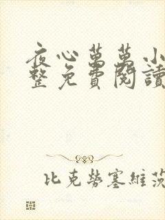 夜心万万小说完整免费阅读全文